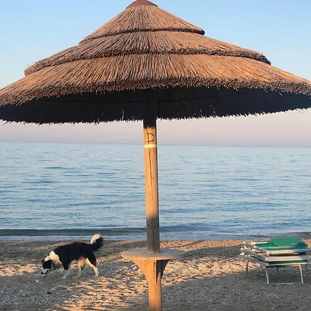 Apartamento Casa A 100 M Dal Mare